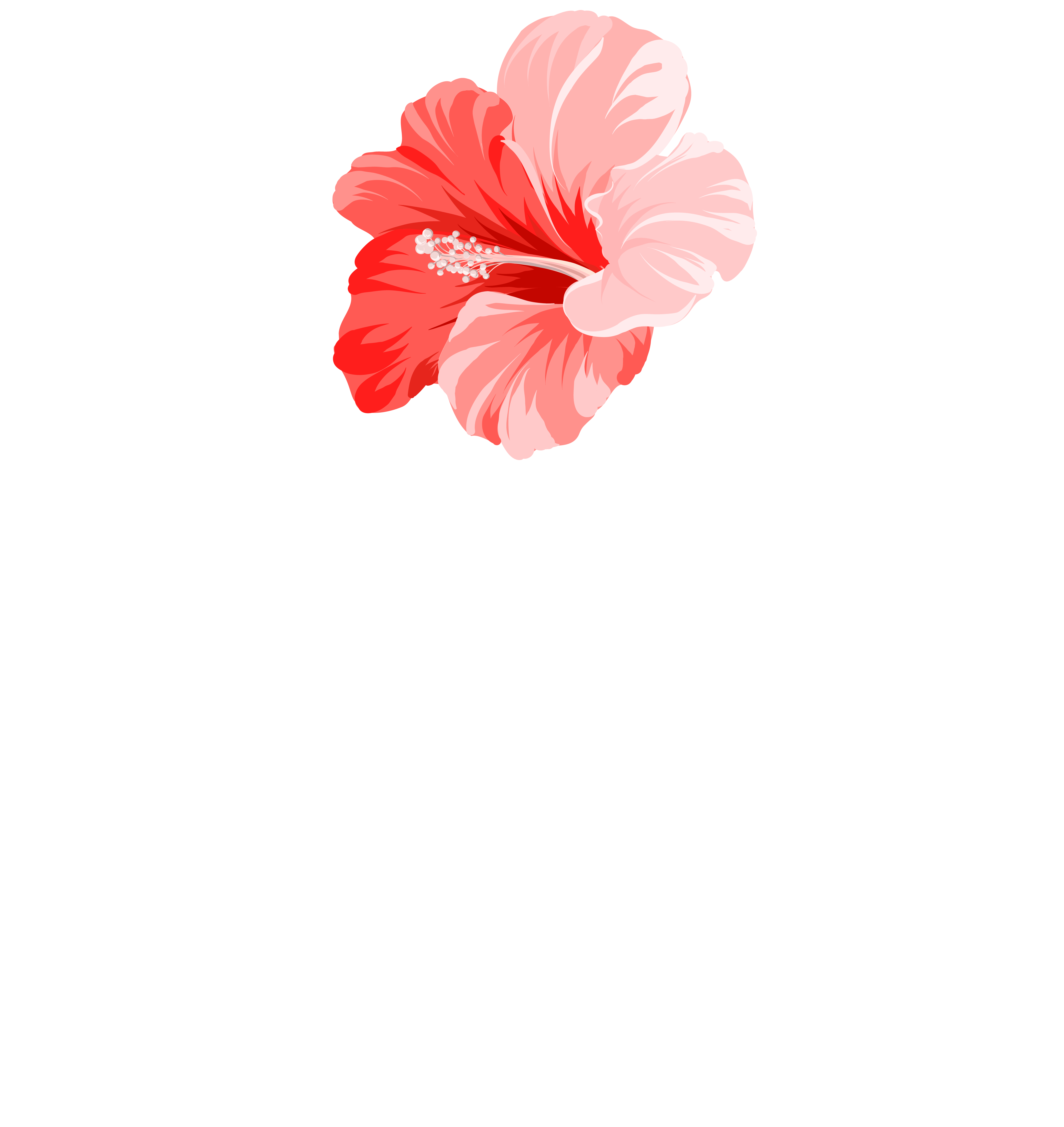Festiv'arts Caribéen de Magog